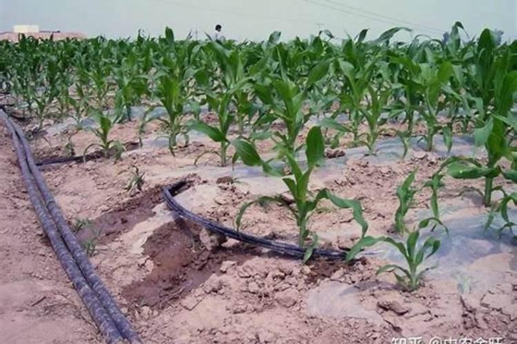 爱而乐创始人施宝定什么学历