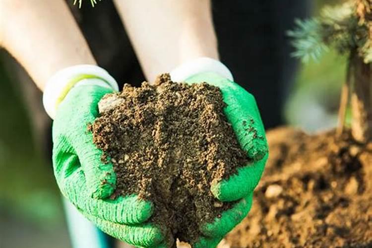 水溶肥泡了会过期吗