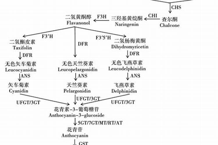 施肥对大气的污染