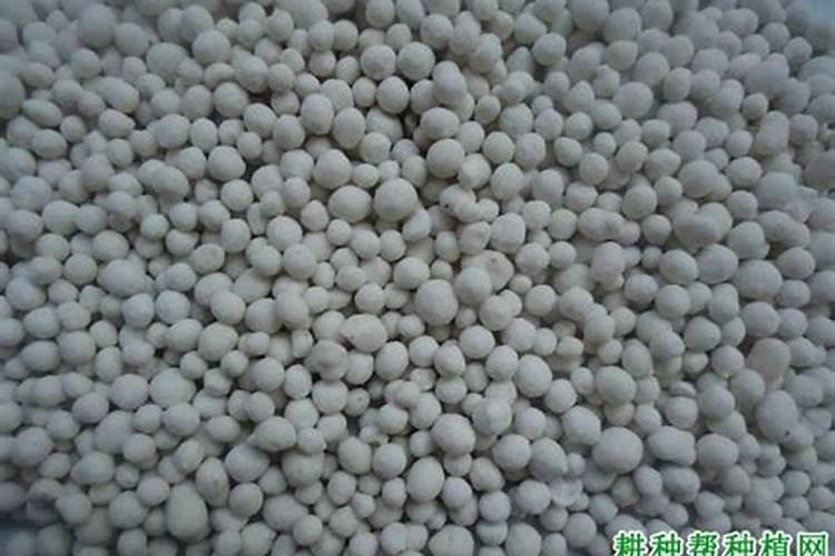 复合肥可以做叶面肥给花喷施吗