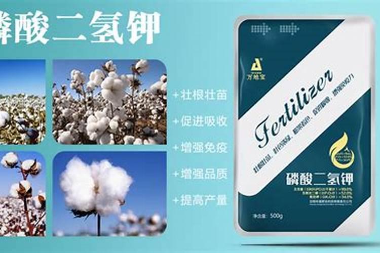 复合肥可以做叶面肥给花喷施吗