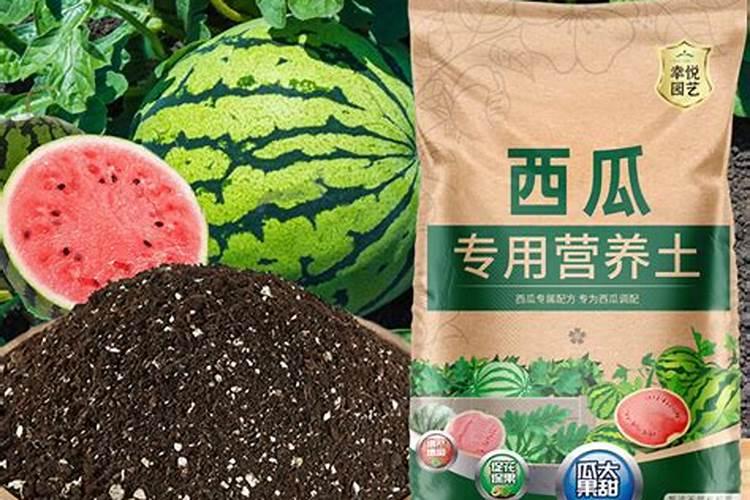 家庭种菜养花,少不了哪些自己就能做的天然有机肥料？