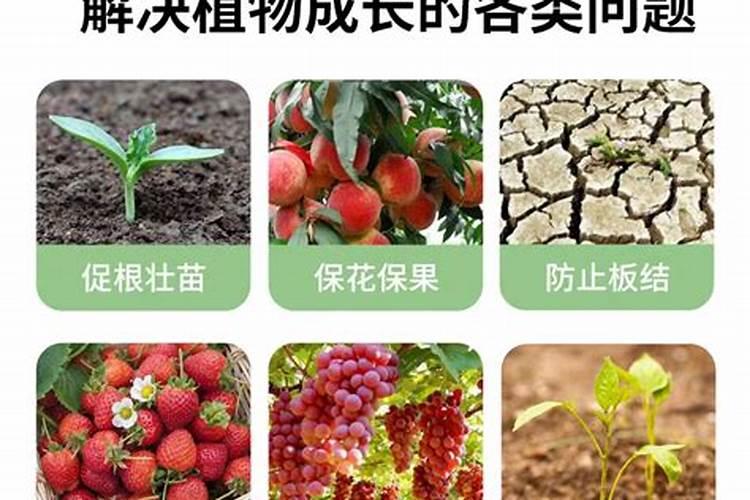 氮肥磷肥钾肥区别和作用