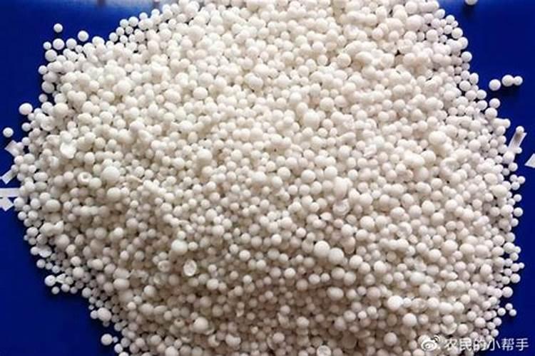 玉米种了一个多月这次上的化肥多点没事吧？