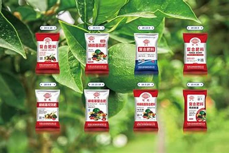 西瓜能使用无土栽培技术种植吗