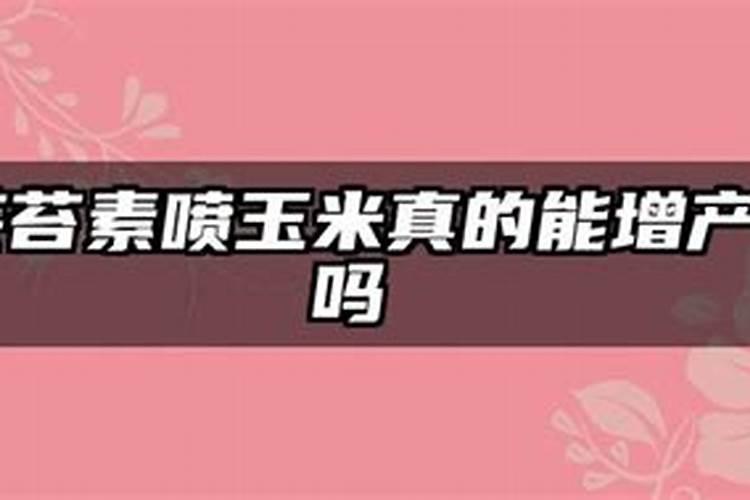 西瓜熟了还可以打海藻精吗？