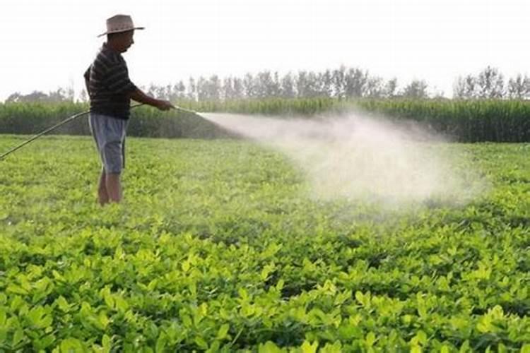 硅肥的发展前景