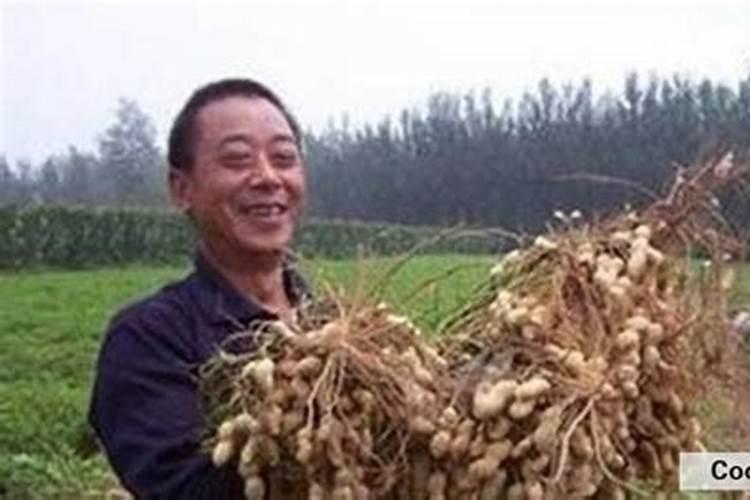 花施肥后能浇水吗