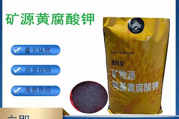 荔枝树施什么肥