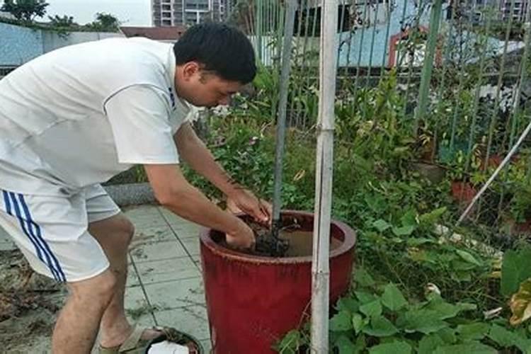 安徽的水泥厂有哪些