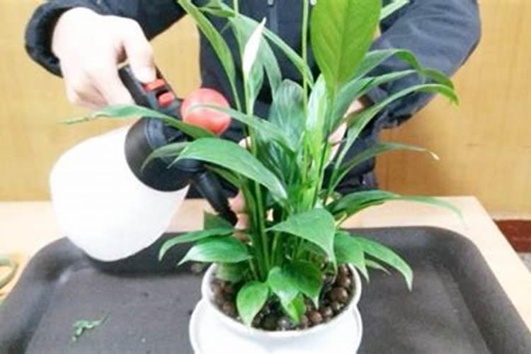 硝酸钾是复合肥料吗？