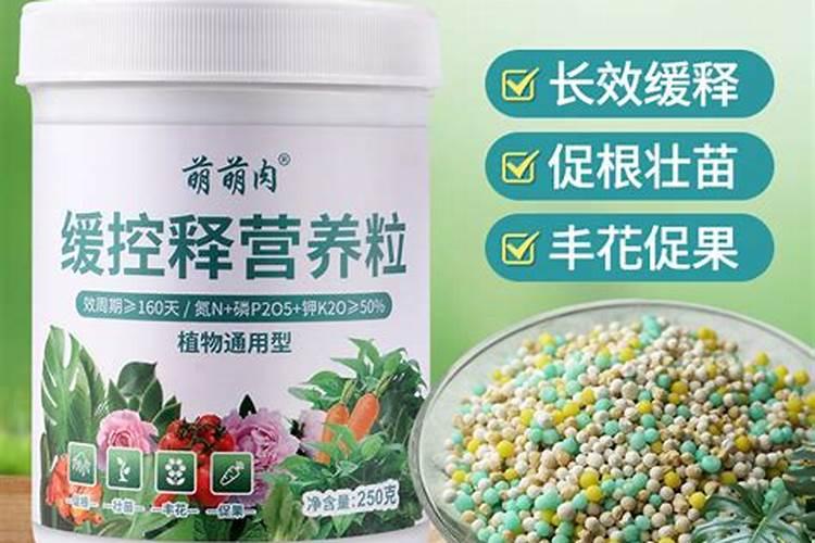 水培可以放复合肥吗