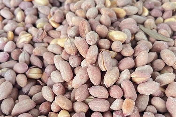 买了一些花生渣,怎么发酵沤肥