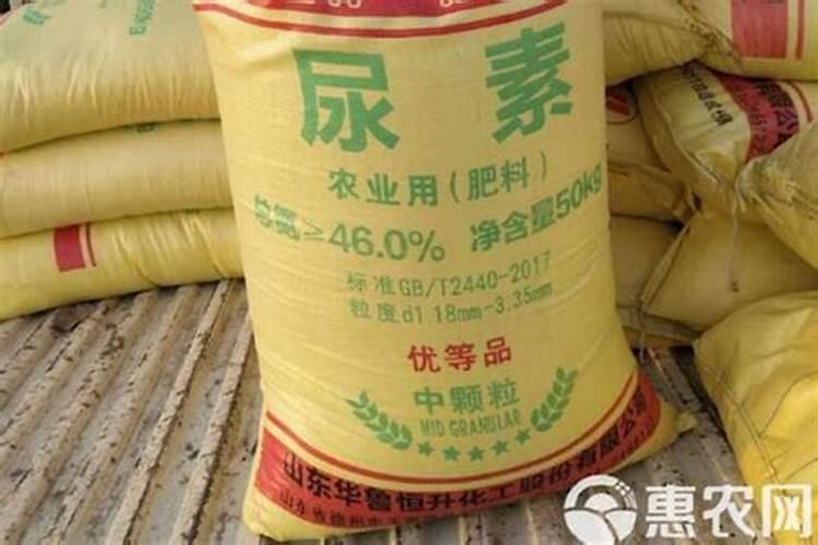 尿素多久施肥一次