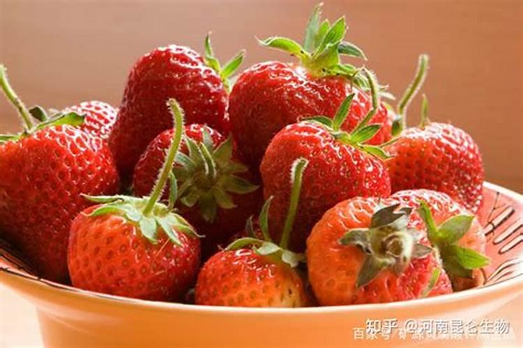 水溶肥什么品牌好？