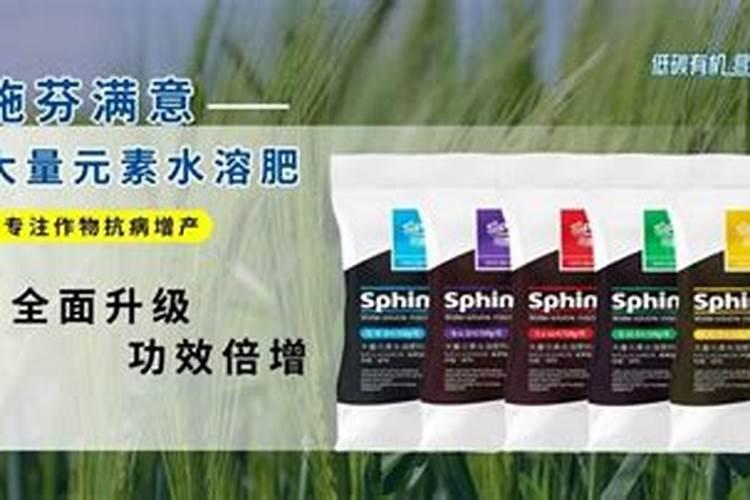 大蒜疫病叶枯病用什么药最好