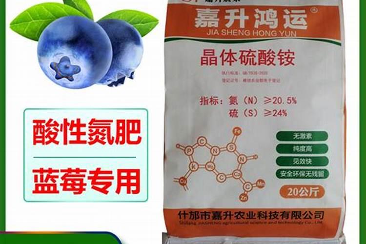 南石龟养殖技术 石龟种龟养殖方法