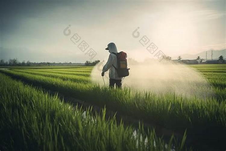 种绿豆用什么肥料好 施肥方法有哪些