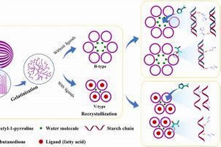 贵州车用尿素厂 抱诚守真