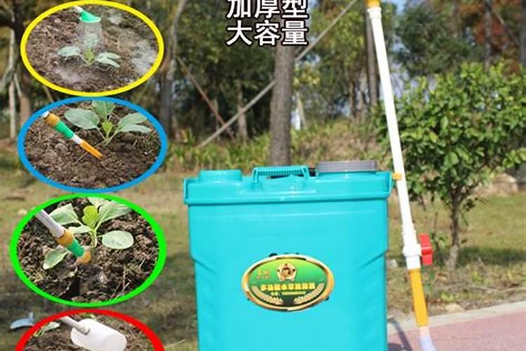 芸苔素多久喷一次