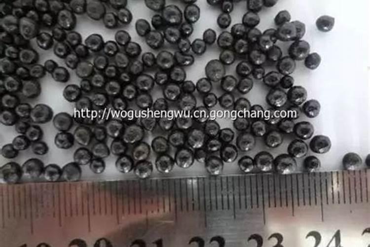 什么药物能促进猕猴桃膨大