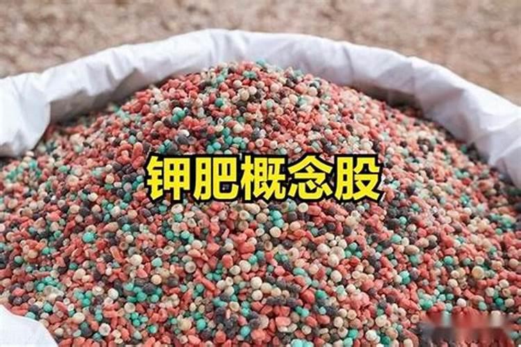 钾肥概念股 钾肥上市公司,钾肥概念股有哪些