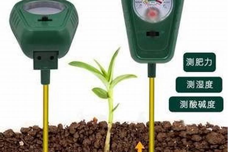 怎么判断土壤肥力