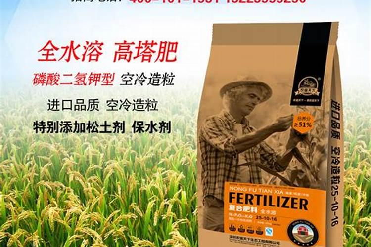 水稻三遍肥最佳时间