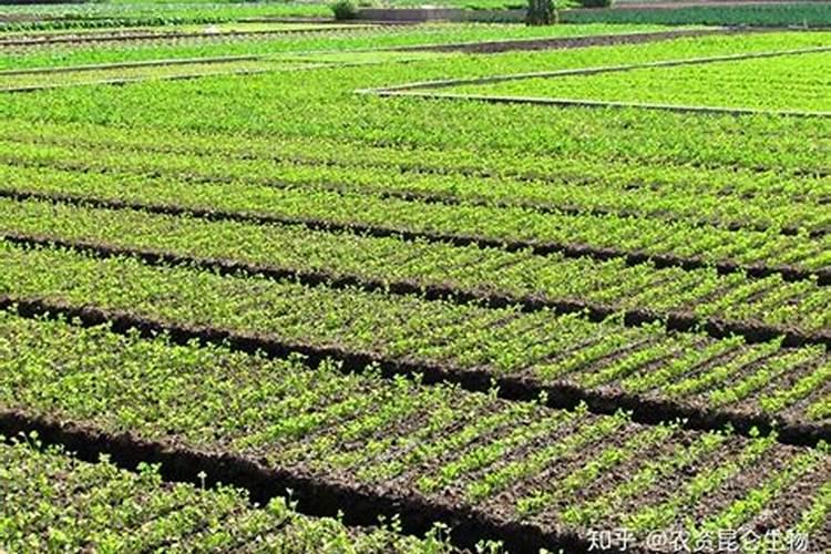 自学裁缝买什么书