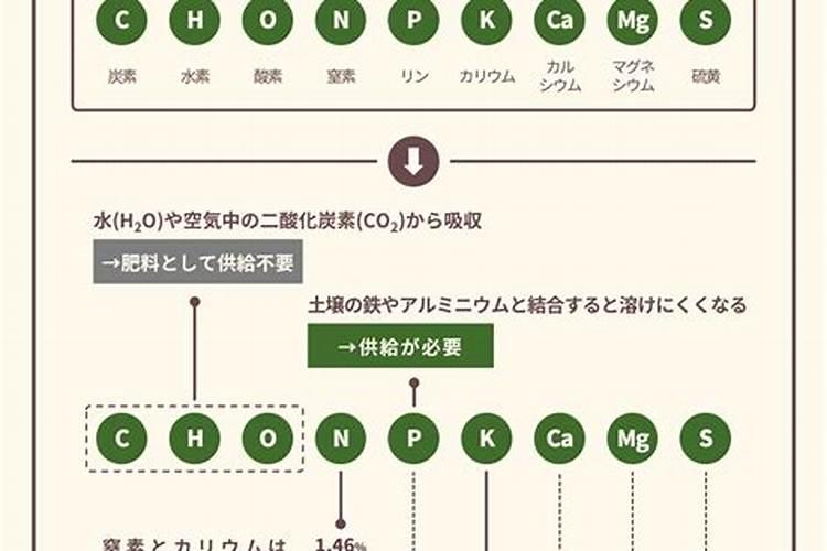 维珍是做什么的