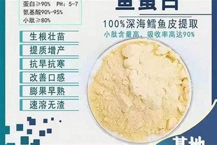 划船机加多少水蓝剂