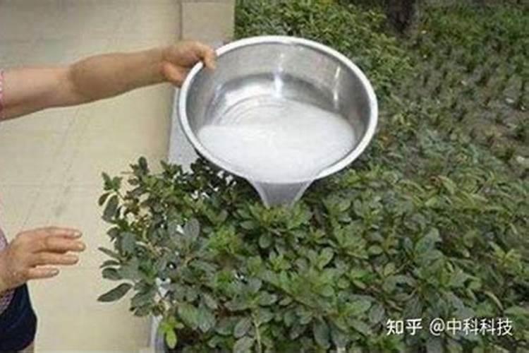 氮肥和磷钾肥能一起用吗,氮肥可以促进植物什么生长