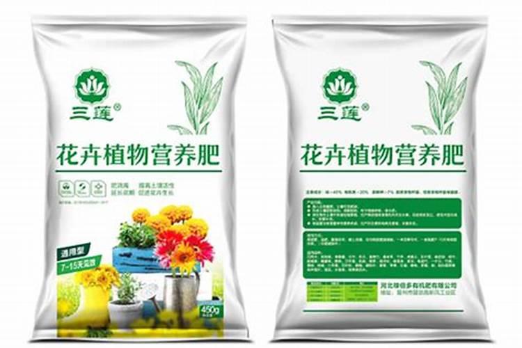 卵生又分为身体分节和什么动物