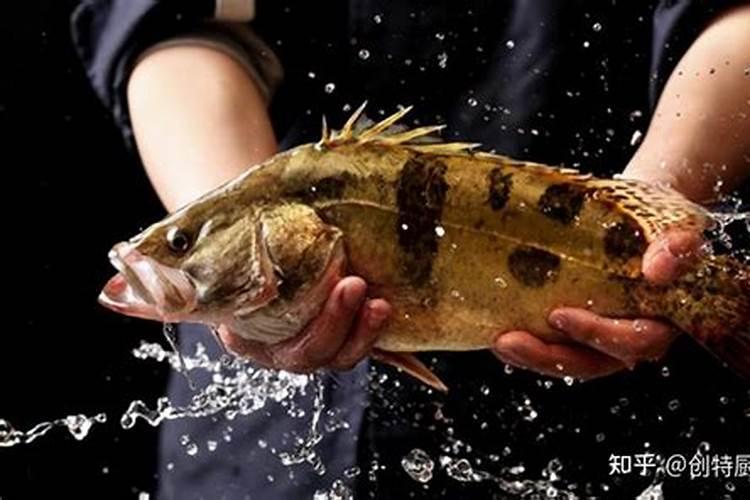 食品添加剂安赛蜜原料这些知识你必须得知道