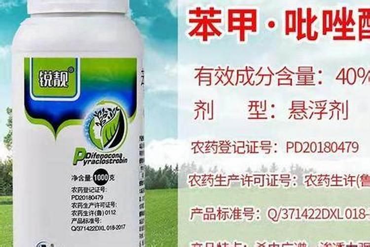 兰花怎么种植需要太阳光吗？