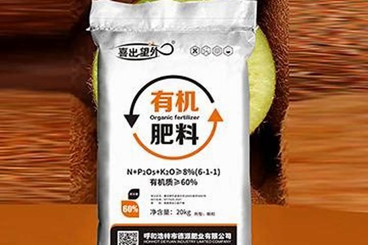 柑橘黄化的原因及解决方法
