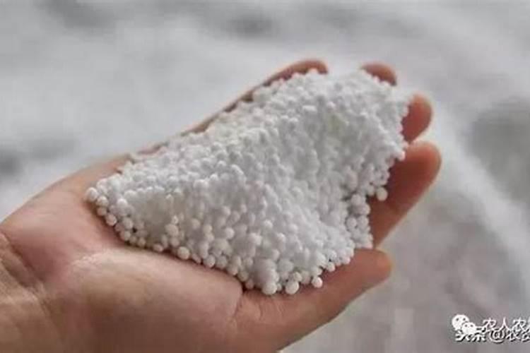 香瓜施肥的使用方法