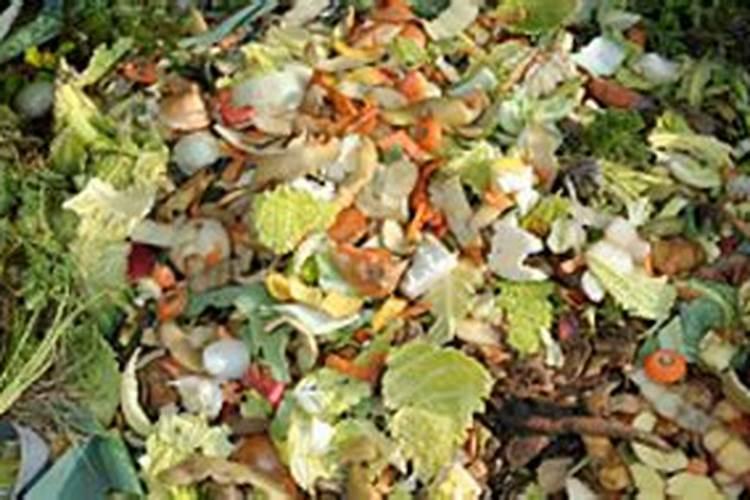 菜籽饼发酵的简单办法