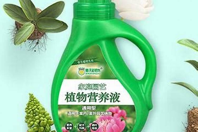 水溶肥排行榜