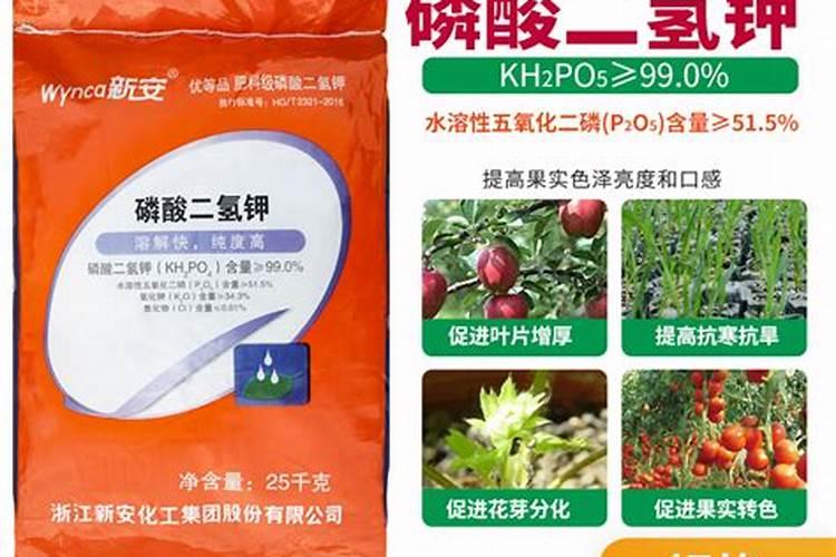 适合青菜种植的水溶肥