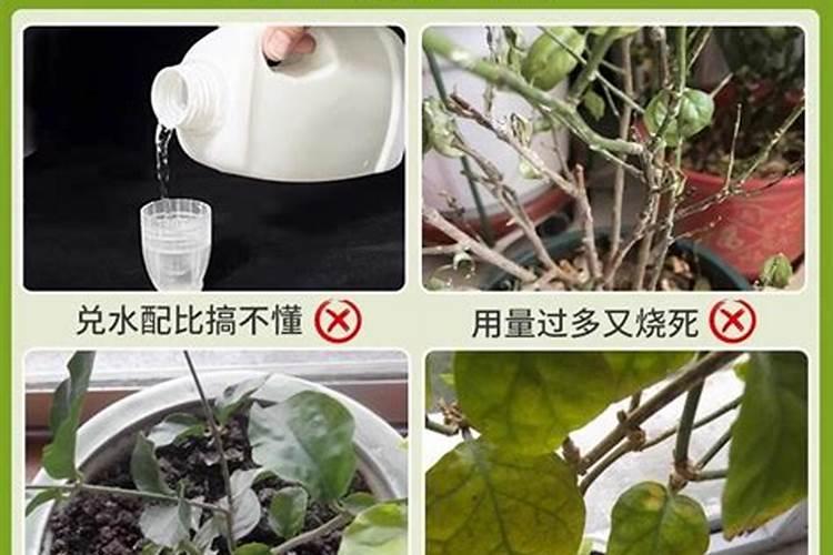 黄腐酸钾能化解复合肥料吗