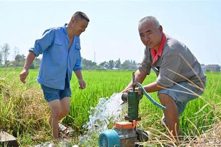 庄稼施肥过量怎么办