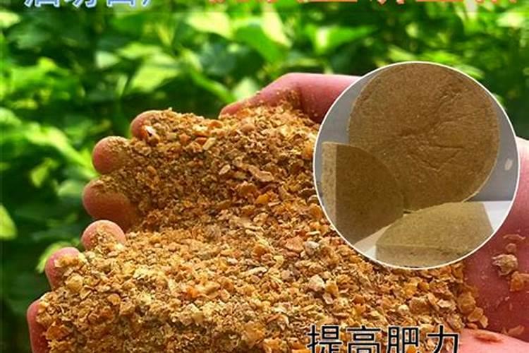 豆饼怎么发酵做肥料最简单的方法