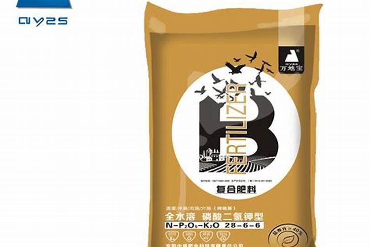 高产油茶种植技术(2)