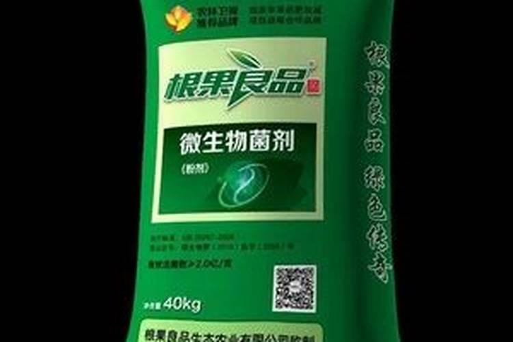 促进植物根发肓最好需要什么肥