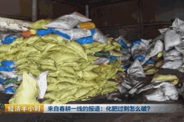 鱼蛋白哪个牌子好？