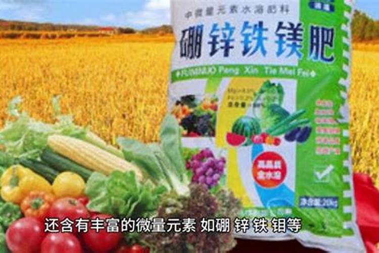 冲施肥的使用方法