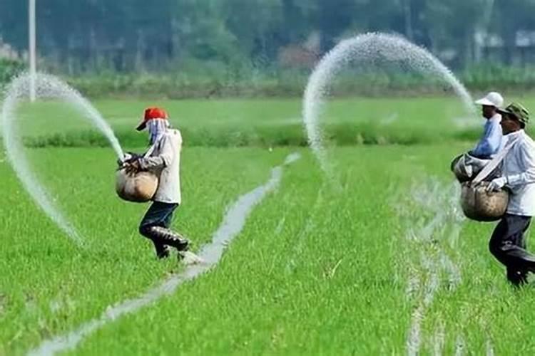 丽普司肽冻干粉怎么样 丽普司肽冻干粉骗局吗