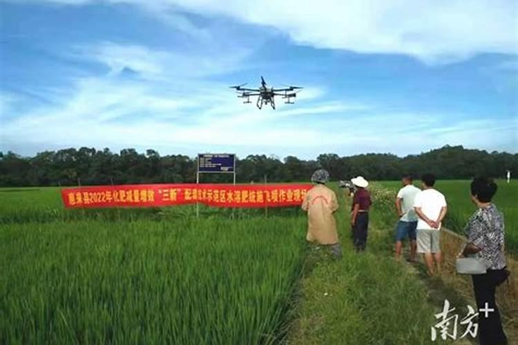 一控两减三基本的内容