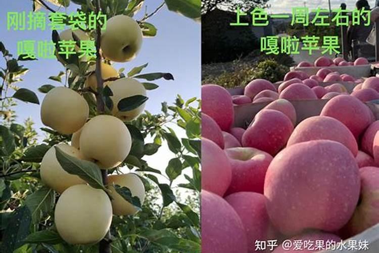 安普诺apnia优势